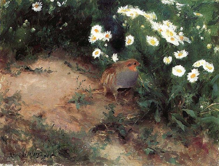 bruno liljefors Partridge with Daisies oil painting image